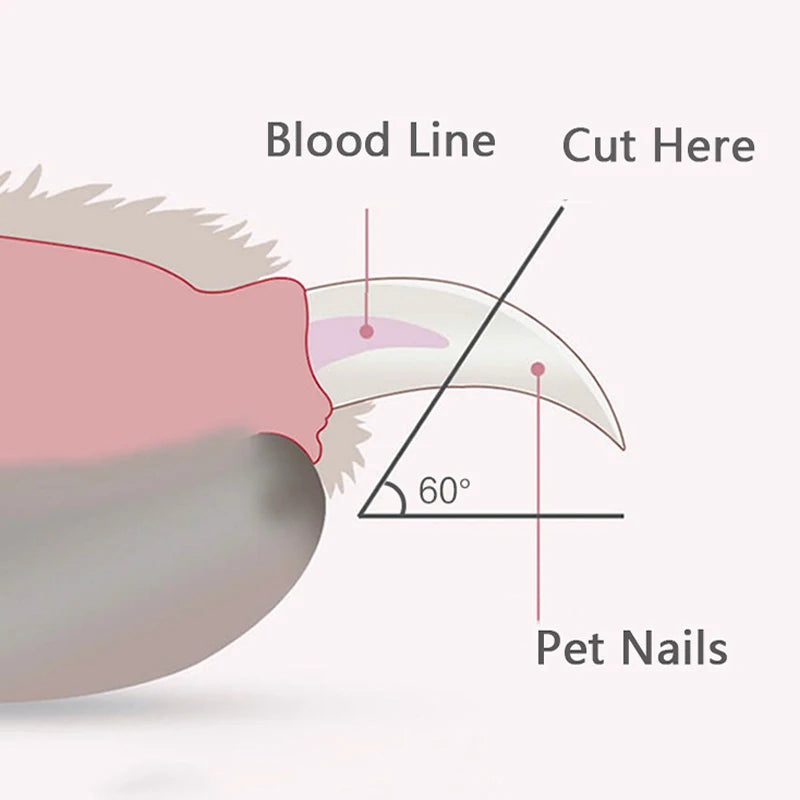Cortador de unhas profissional para animais de estimação com luz LED, tesoura para aparar unhas de cães, gatos e pequenos animais.